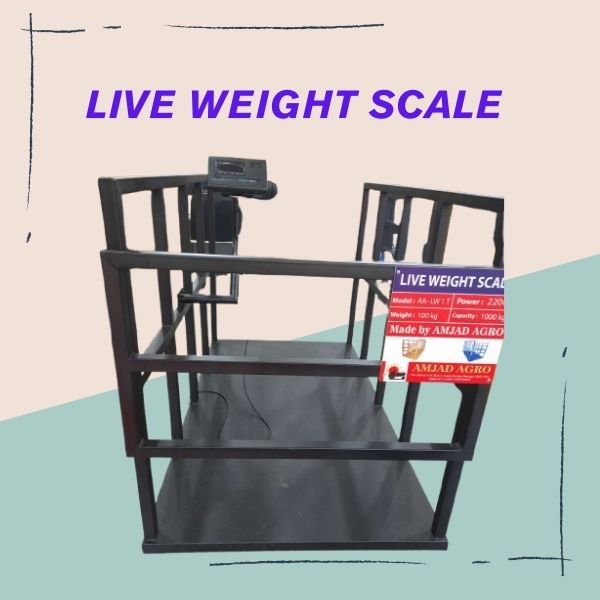 Live Weight Scale